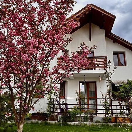 Apartamento Cristina House Braşov Exterior foto