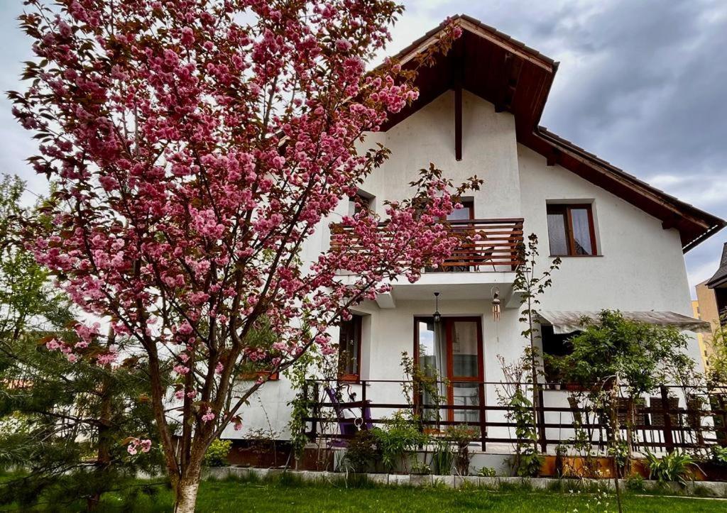 Apartamento Cristina House Braşov Exterior foto